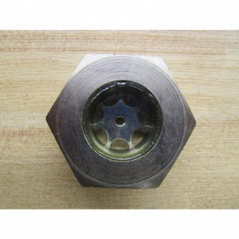 NPT Stainless Steel Oil Sight Glass