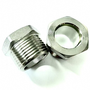 NPT Without Reflector Fused Oil Sight Glass