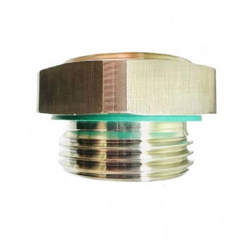 BSP stainless steel oil sight glasses